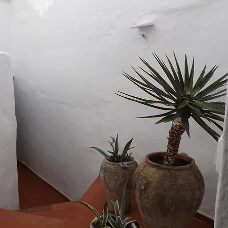 Feriehus Casa Elvira *